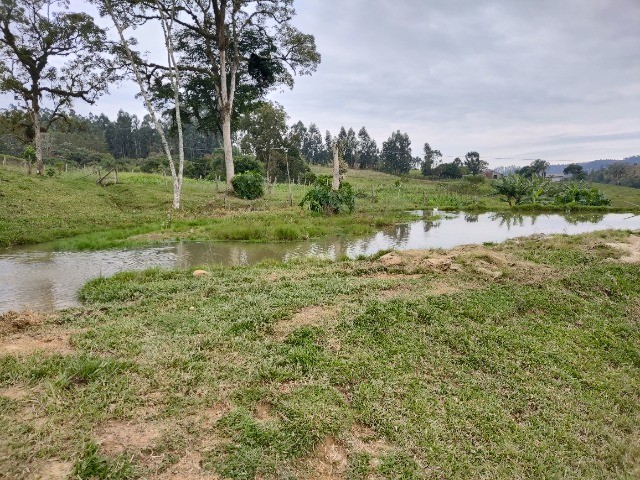 Chácara à venda com 3 quartos, 20000m² - Foto 30