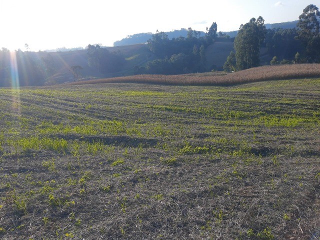 Fazenda à venda com 1 quarto, 6m² - Foto 6