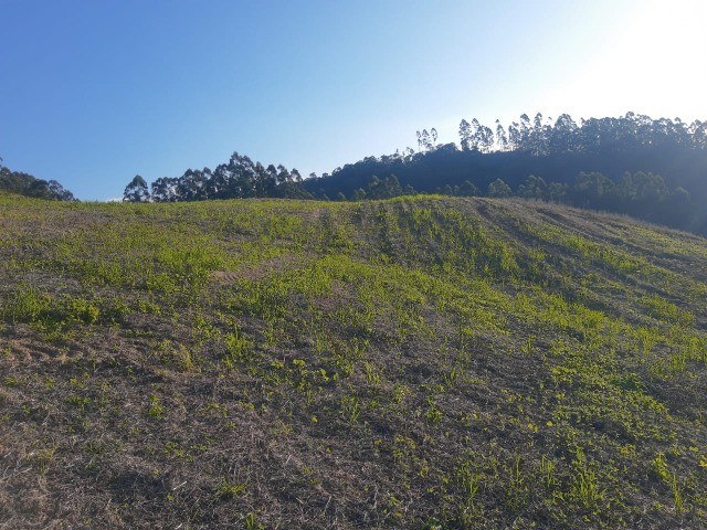 Fazenda à venda com 1 quarto, 6m² - Foto 8