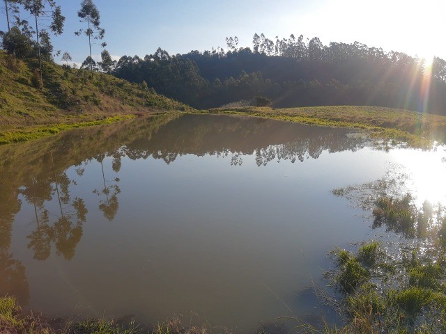 Fazenda à venda com 1 quarto, 6m² - Foto 5