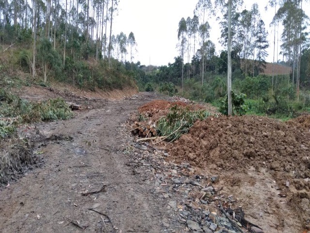 Fazenda à venda com 1 quarto, 12m² - Foto 12