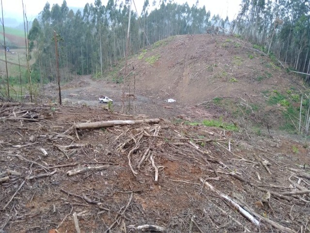 Fazenda à venda com 1 quarto, 12m² - Foto 6