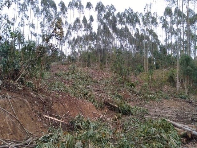 Fazenda à venda com 1 quarto, 12m² - Foto 9