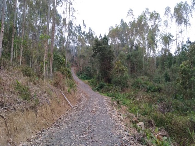 Fazenda à venda com 1 quarto, 12m² - Foto 11