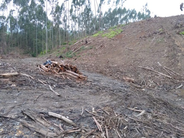 Fazenda à venda com 1 quarto, 12m² - Foto 5