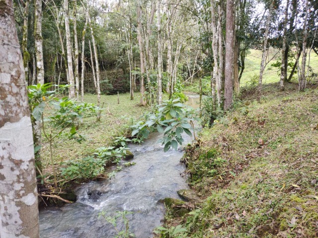 Chácara à venda com 4 quartos, 400m² - Foto 6