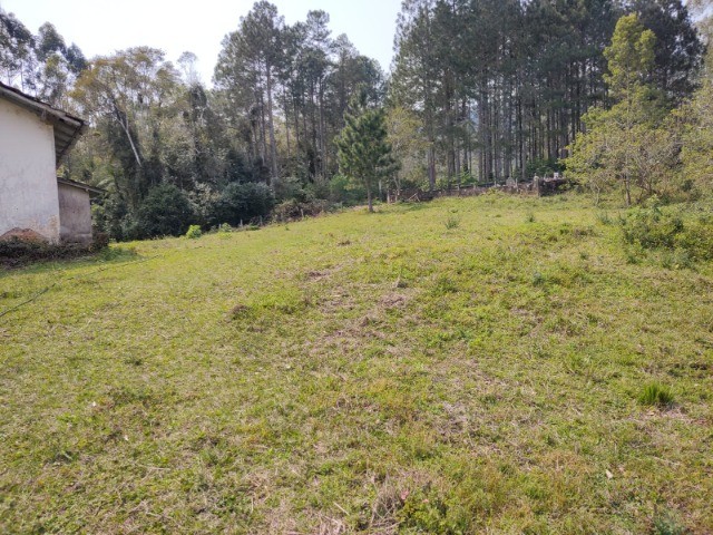 Fazenda à venda com 1 quarto, 5000m² - Foto 13