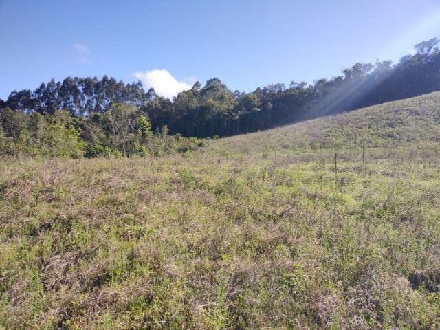 Fazenda à venda com 1 quarto, 10m² - Foto 21