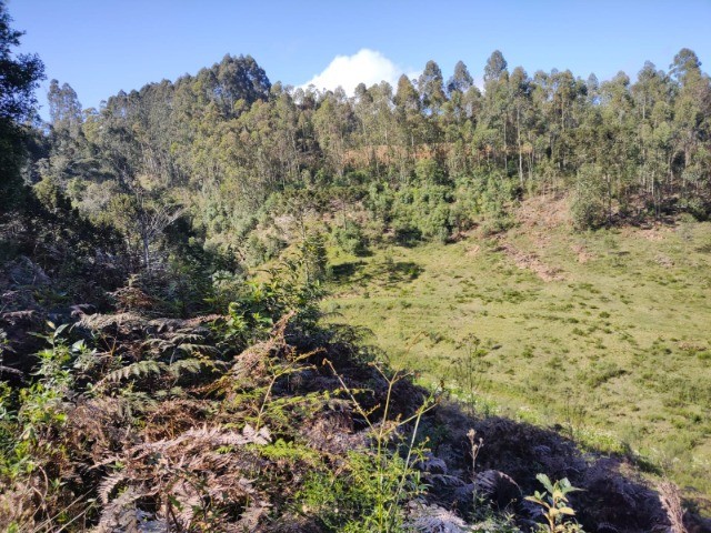 Fazenda à venda com 1 quarto, 10m² - Foto 12