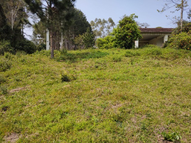 Fazenda à venda com 1 quarto, 5000m² - Foto 3