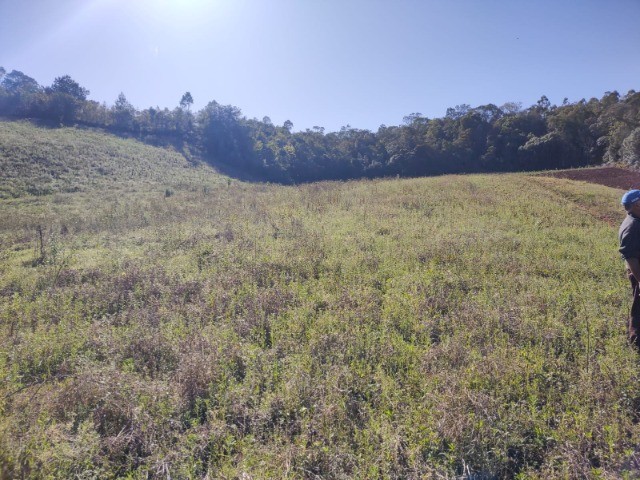 Fazenda à venda com 1 quarto, 10m² - Foto 22