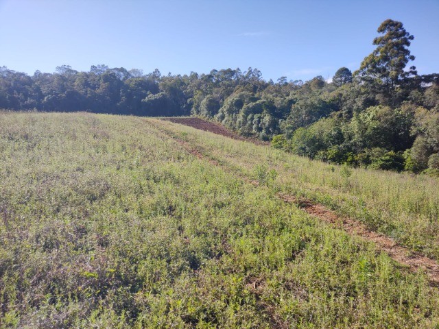 Fazenda à venda com 1 quarto, 10m² - Foto 6