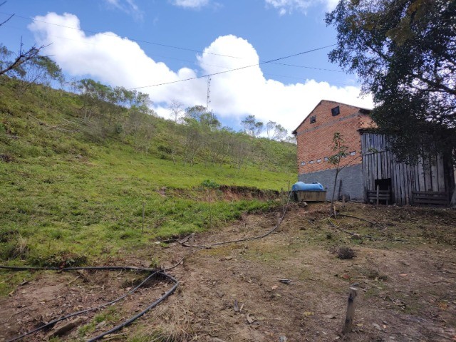 Fazenda à venda com 3 quartos, 7m² - Foto 10