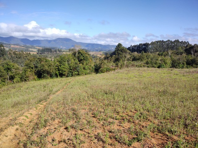 Fazenda à venda com 1 quarto, 10m² - Foto 9