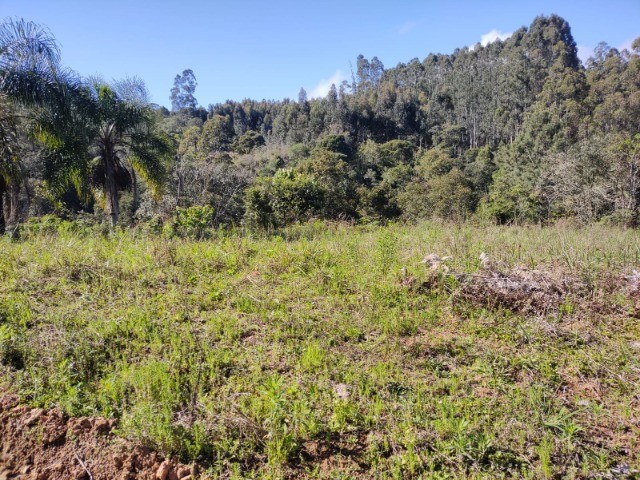 Fazenda à venda com 1 quarto, 10m² - Foto 15