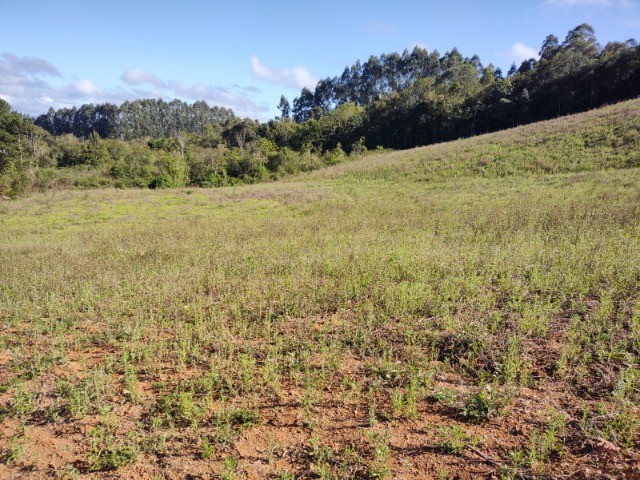 Fazenda à venda com 1 quarto, 10m² - Foto 16