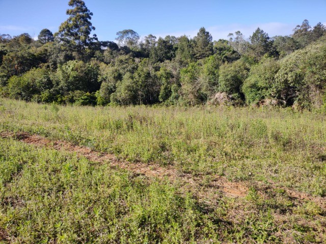 Fazenda à venda com 1 quarto, 10m² - Foto 17