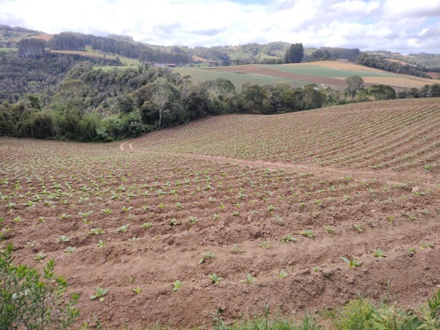 Fazenda à venda com 3 quartos, 7m² - Foto 9