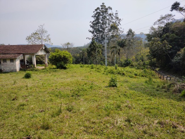 Fazenda à venda com 1 quarto, 5000m² - Foto 8