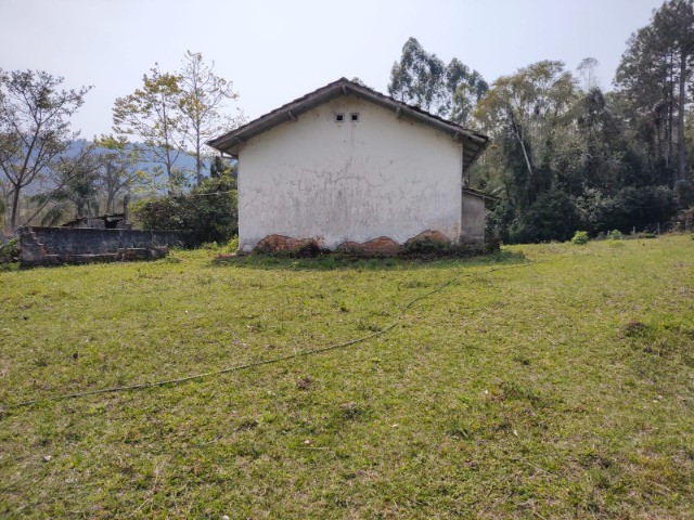 Fazenda à venda com 1 quarto, 5000m² - Foto 4