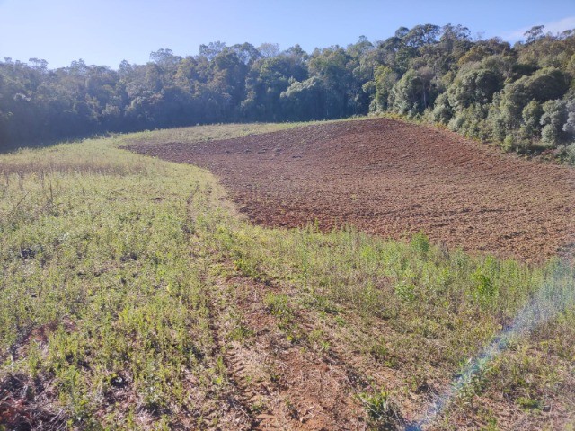 Fazenda à venda com 1 quarto, 10m² - Foto 7