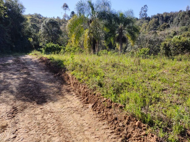 Fazenda à venda com 1 quarto, 10m² - Foto 10