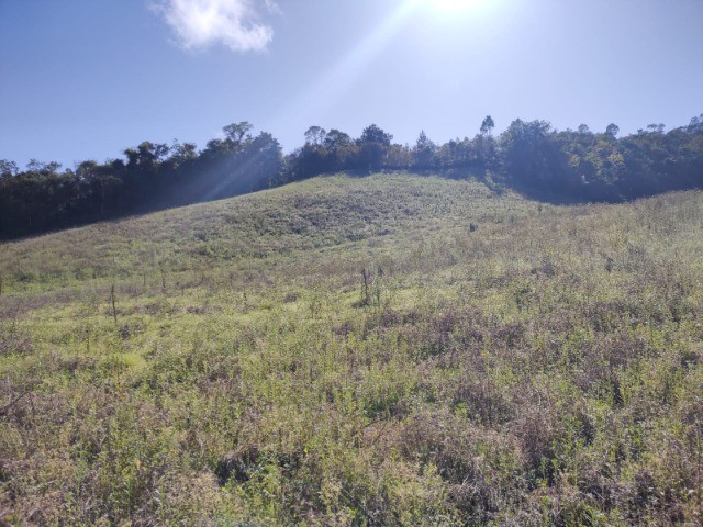 Fazenda à venda com 1 quarto, 10m² - Foto 20