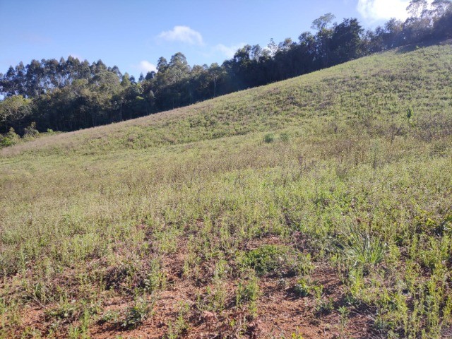 Fazenda à venda com 1 quarto, 10m² - Foto 19