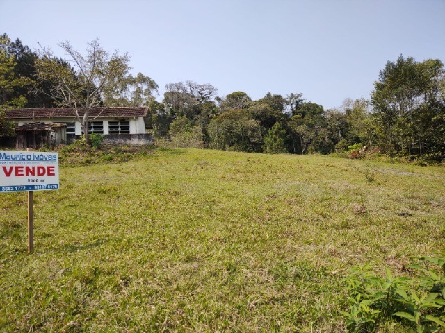 Fazenda à venda com 1 quarto, 5000m² - Foto 6