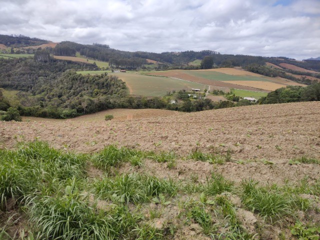 Fazenda à venda com 3 quartos, 7m² - Foto 5