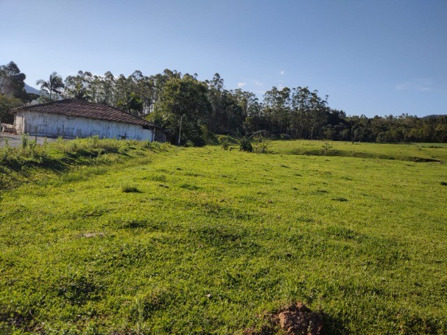 Chácara à venda com 3 quartos, 20000m² - Foto 8