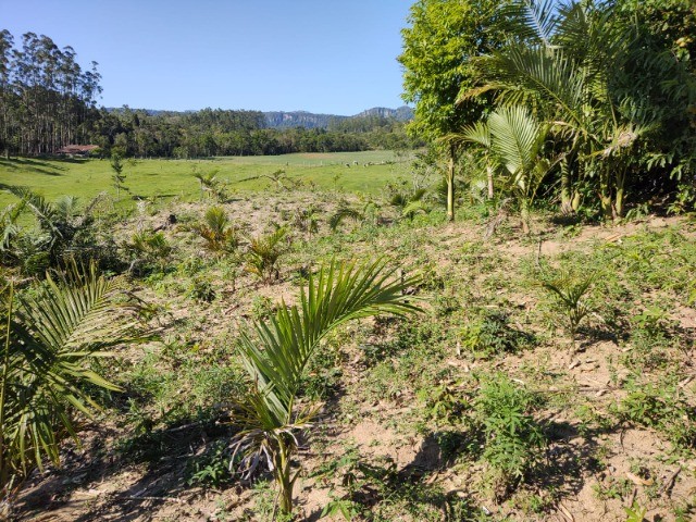 Chácara à venda com 3 quartos, 20000m² - Foto 31