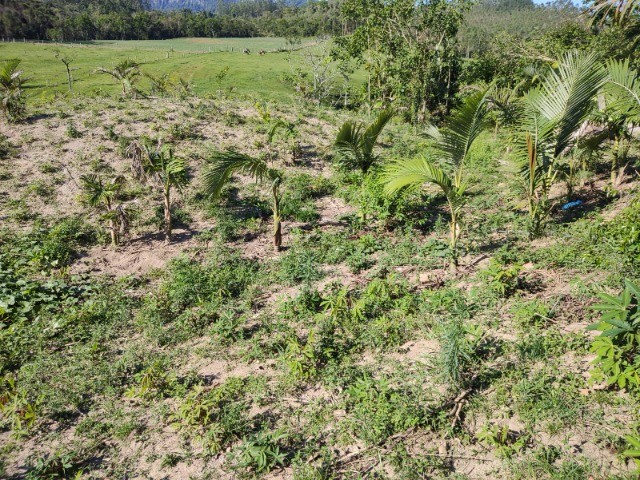 Chácara à venda com 3 quartos, 20000m² - Foto 30