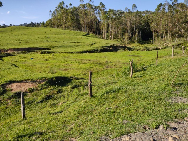 Chácara à venda com 3 quartos, 20000m² - Foto 7