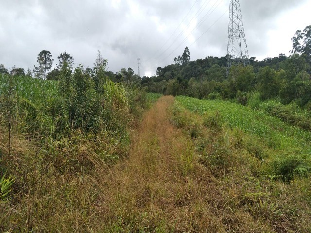 Fazenda à venda com 1 quarto, 30000m² - Foto 7