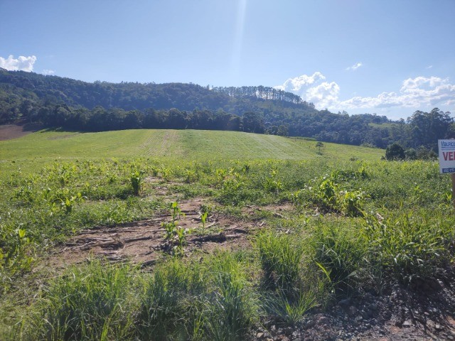 Fazenda-Sítio-Chácara, 6 hectares - Foto 5