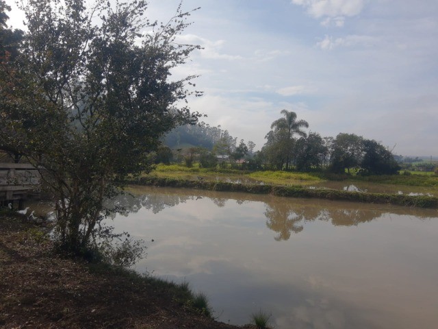 Fazenda à venda com 4 quartos, 45m² - Foto 9