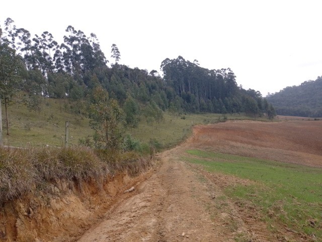 Fazenda à venda com 1 quarto, 22m² - Foto 12