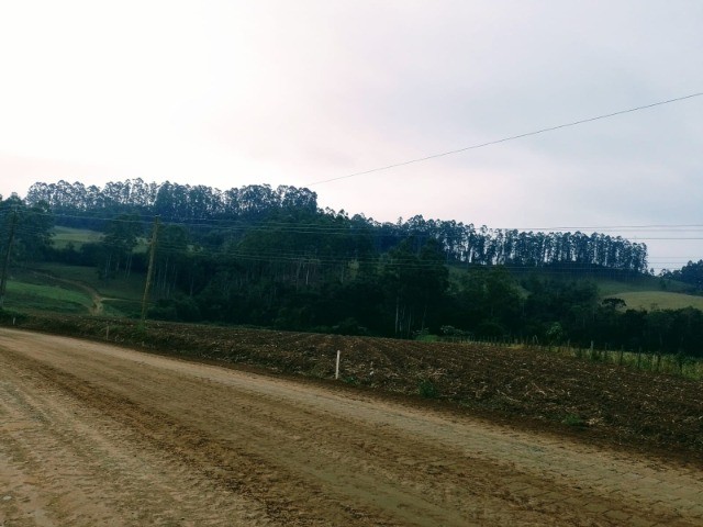Fazenda-Sítio-Chácara, 22 m² - Foto 4