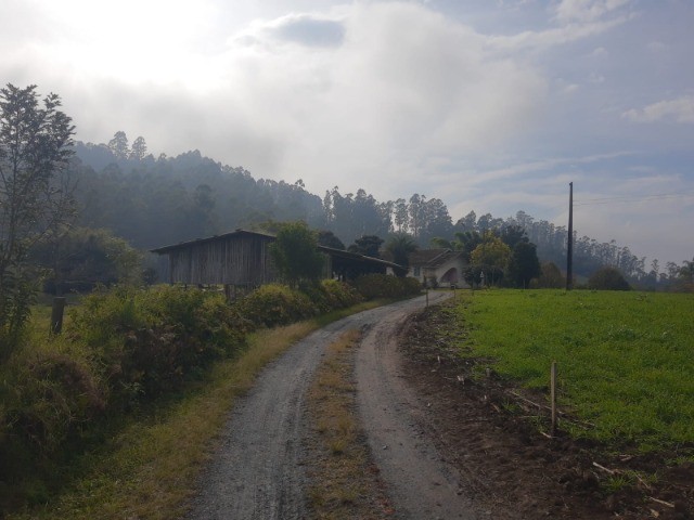 Fazenda à venda com 4 quartos, 45m² - Foto 15