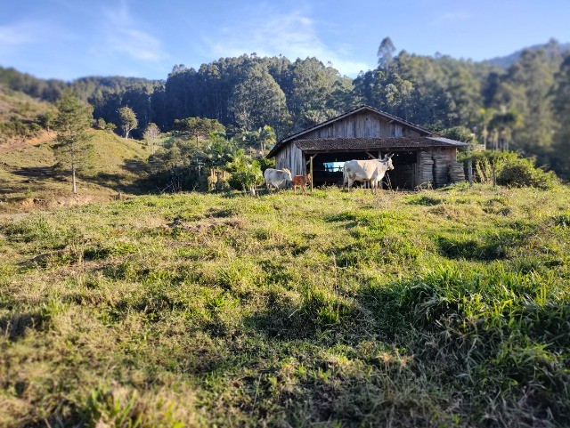 Chácara à venda com 3 quartos, 250m² - Foto 17