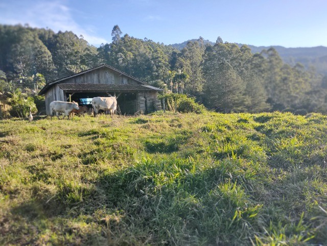 Chácara à venda com 3 quartos, 250m² - Foto 18