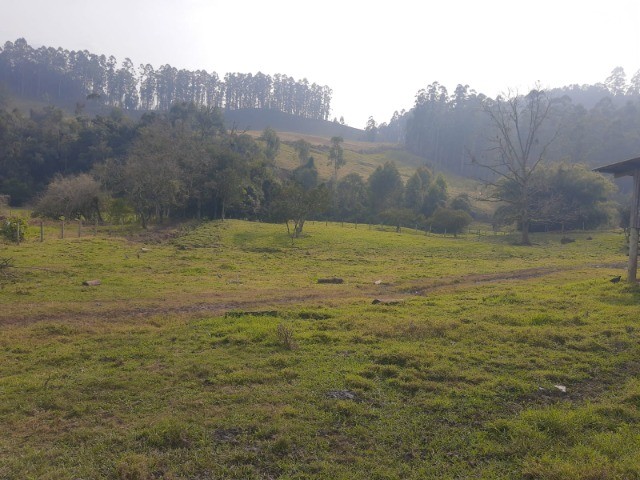 Fazenda à venda com 4 quartos, 45m² - Foto 13