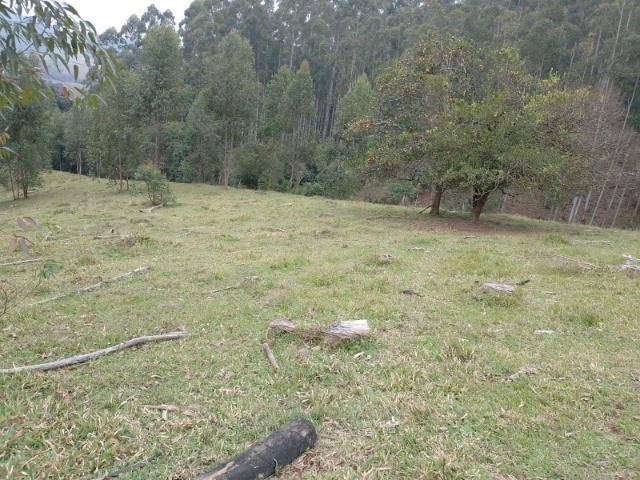 Fazenda à venda com 4 quartos, 45m² - Foto 34