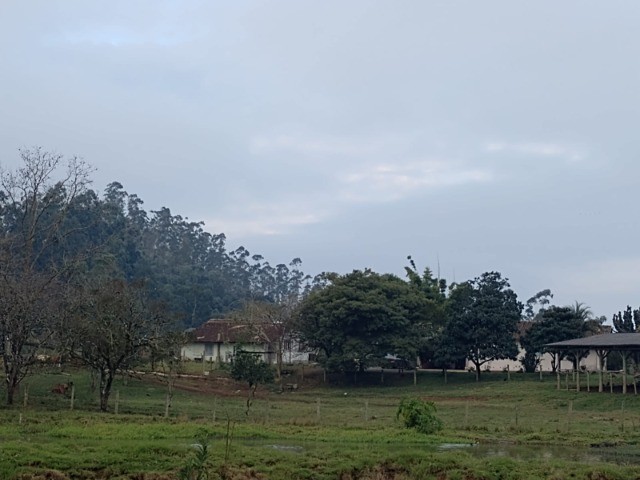 Fazenda à venda com 4 quartos, 45m² - Foto 20