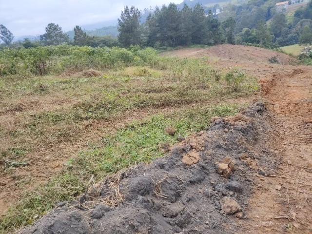 Terreno à venda, 4100m² - Foto 5