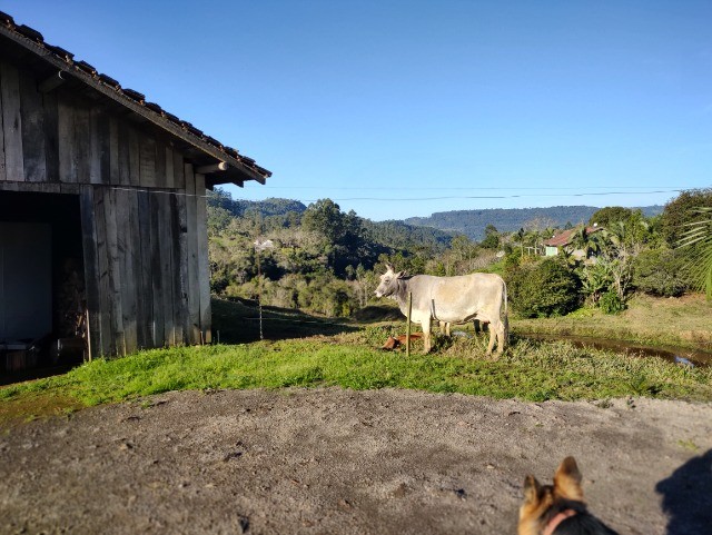 Chácara à venda com 3 quartos, 250m² - Foto 5