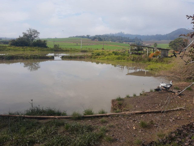 Fazenda à venda com 4 quartos, 45m² - Foto 8