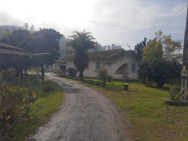 Fazenda à venda com 4 quartos, 45m² - Foto 11