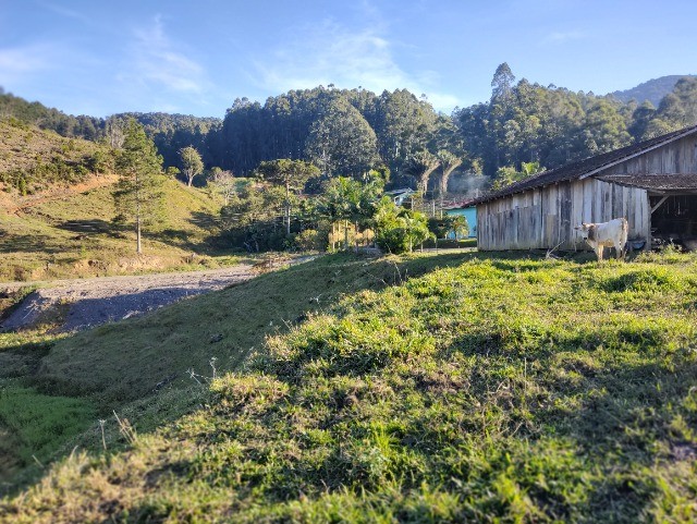 Chácara à venda com 3 quartos, 250m² - Foto 20